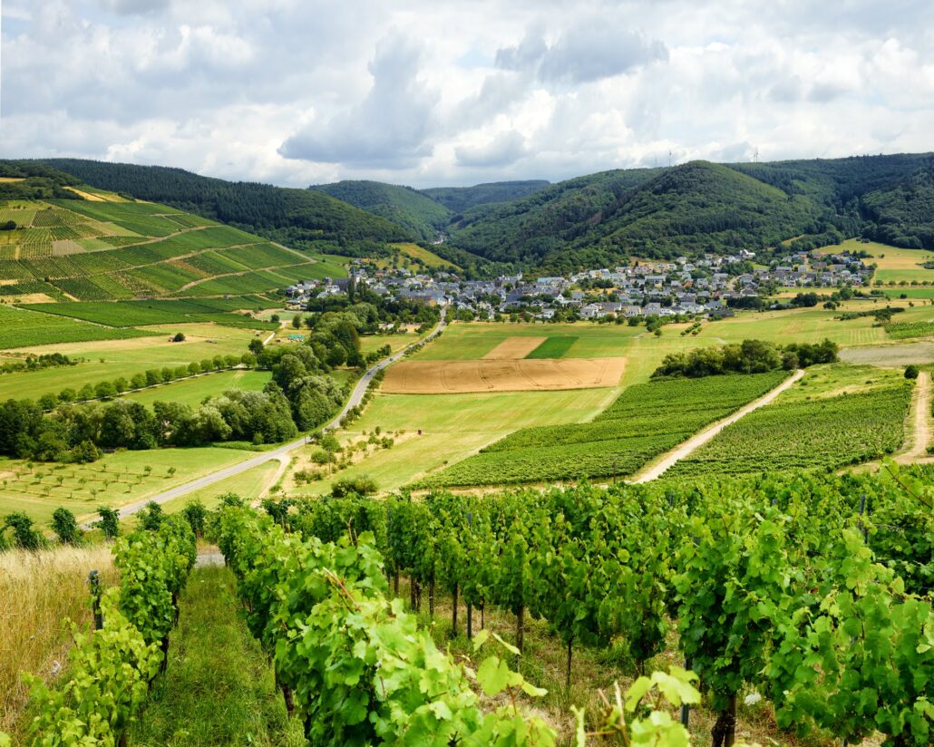Landschaft mit Weinbergen und Dörfern, die die Region für nachhaltige Glasfaserlösungen von Unsere Grüne Glasfaser repräsentiert.
